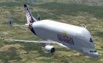 Reworked and Added Views for the Airbus A300-600ST Beluga